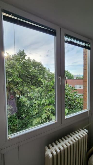 City Center Apt Wfree P Скоп'є Екстер'єр фото